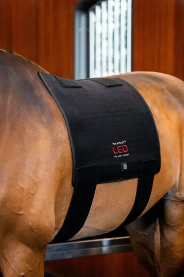 Horseware Ireland LED Red Light Therapy Pad| Online For Equine