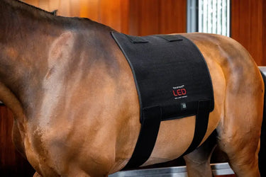 Horseware Ireland LED Red Light Therapy Pad| Online For Equine