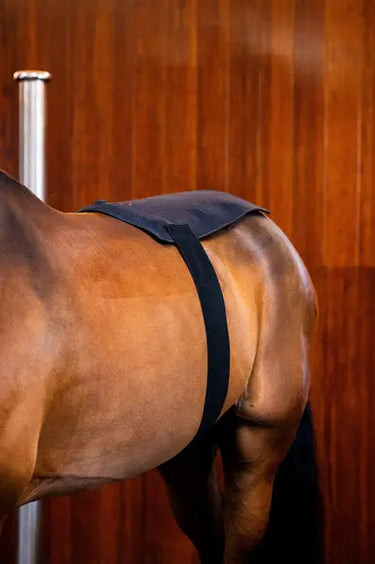 Horseware Ireland LED Red Light Therapy Pad| Online For Equine