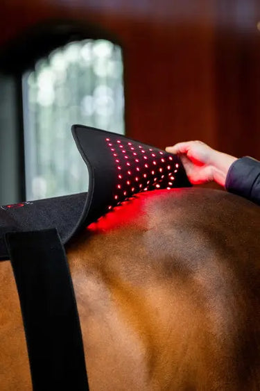 Horseware Ireland LED Red Light Therapy Pad| Online For Equine