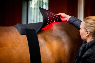Horseware Ireland LED Red Light Therapy Pad| Online For Equine
