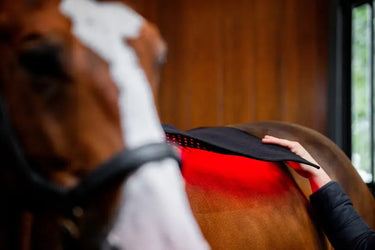 Horseware Ireland LED Red Light Therapy Pad| Online For Equine