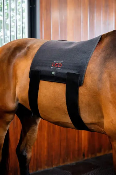 Horseware Ireland LED Red Light Therapy Pad| Online For Equine