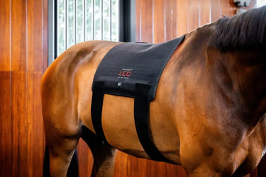Horseware Ireland LED Red Light Therapy Pad| Online For Equine