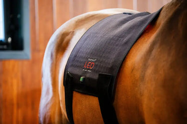 Horseware Ireland LED Red Light Therapy Pad| Online For Equine