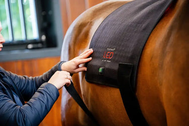 Horseware Ireland LED Red Light Therapy Pad| Online For Equine