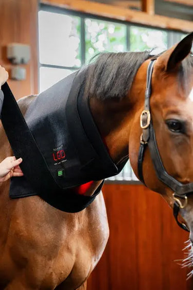 Horseware Ireland LED Red Light Therapy Pad| Online For Equine