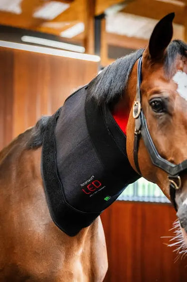 Horseware Ireland LED Red Light Therapy Pad| Online For Equine