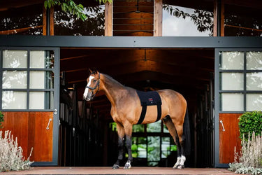 Horseware Ireland LED Red Light Therapy Pad| Online For Equine