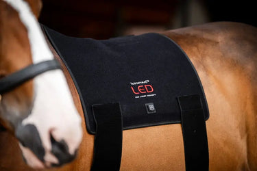 Horseware Ireland LED Red Light Therapy Pad| Online For Equine