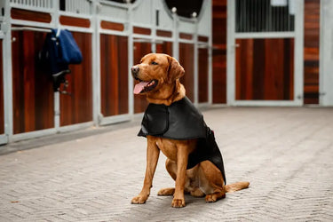 Horseware Ireland LED Red Light Therapy Pet Coat| Online For Equine