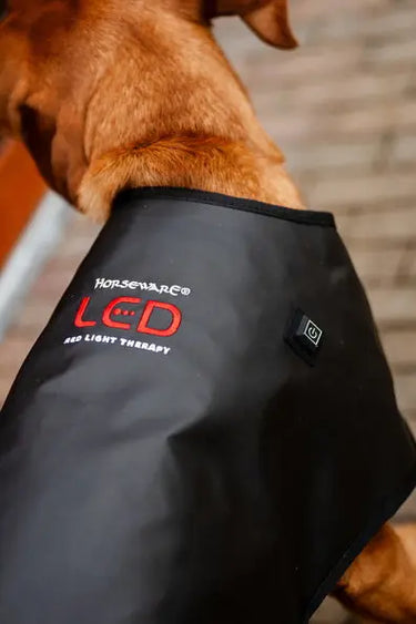 Horseware Ireland LED Red Light Therapy Pet Coat| Online For Equine