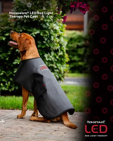 Horseware Ireland LED Red Light Therapy Pet Coat| Online For Equine