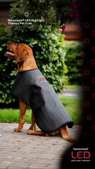 Horseware Ireland LED Red Light Therapy Pet Coat| Online For Equine