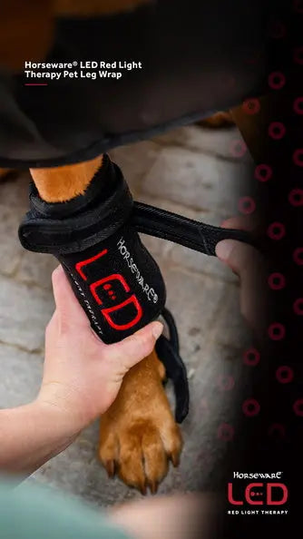 Horseware Ireland LED Red Light Therapy Pet Leg Wrap| Online For Equine