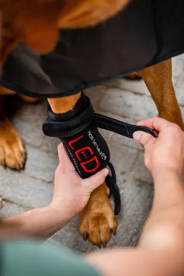 Horseware Ireland LED Red Light Therapy Pet Leg Wrap| Online For Equine