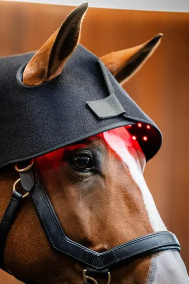 Horseware Ireland LED Red Light Therapy Poll Cap| Online For Equine