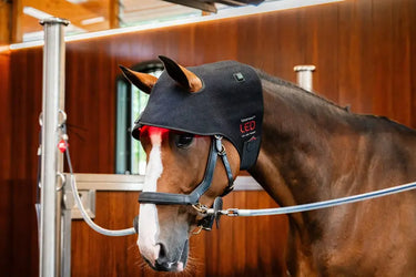 Horseware Ireland LED Red Light Therapy Poll Cap| Online For Equine