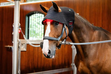 Horseware Ireland LED Red Light Therapy Poll Cap| Online For Equine