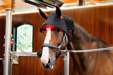 Horseware Ireland LED Red Light Therapy Poll Cap| Online For Equine