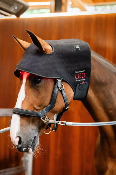 Horseware Ireland LED Red Light Therapy Poll Cap| Online For Equine