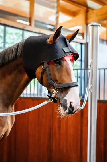 Horseware Ireland LED Red Light Therapy Poll Cap| Online For Equine