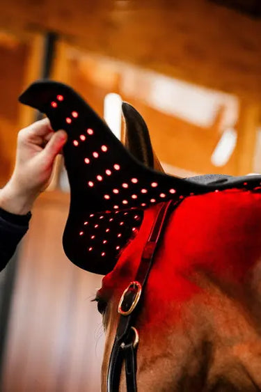 Horseware Ireland LED Red Light Therapy Poll Cap| Online For Equine