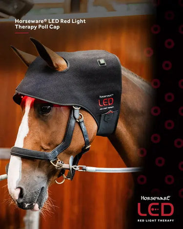 Horseware Ireland LED Red Light Therapy Poll Cap| Online For Equine