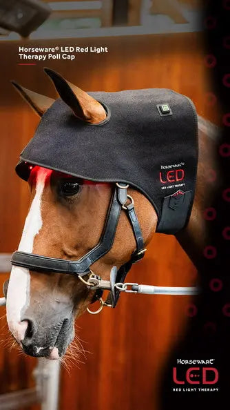 Horseware Ireland LED Red Light Therapy Poll Cap| Online For Equine