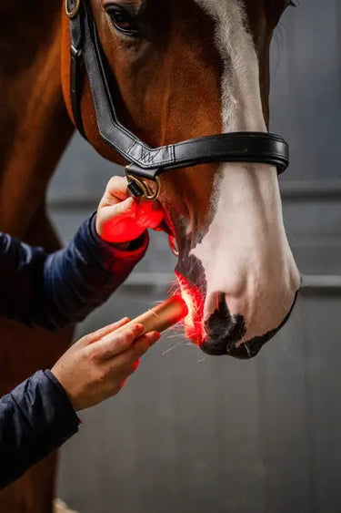 Horseware Ireland LED Red Light Therapy Wand| Online For Equine