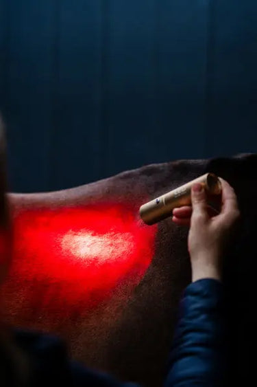 Horseware Ireland LED Red Light Therapy Wand| Online For Equine