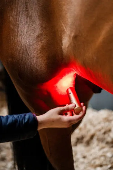 Horseware Ireland LED Red Light Therapy Wand| Online For Equine