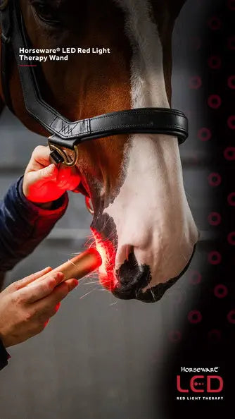 Horseware Ireland LED Red Light Therapy Wand| Online For Equine