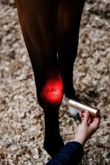Horseware Ireland LED Red Light Therapy Wand| Online For Equine