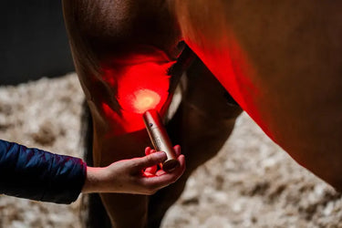 Horseware Ireland LED Red Light Therapy Wand| Online For Equine