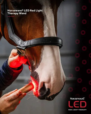 Horseware Ireland LED Red Light Therapy Wand| Online For Equine