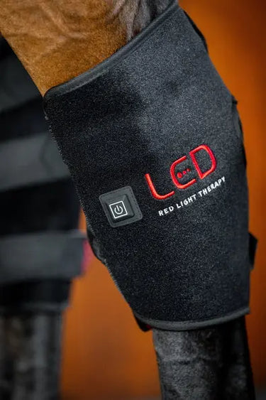 Horseware Ireland Led Red Light Therapy Left Hock Boot| Online For Equine