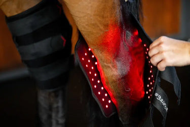 Horseware Ireland Led Red Light Therapy Left Hock Boot| Online For Equine