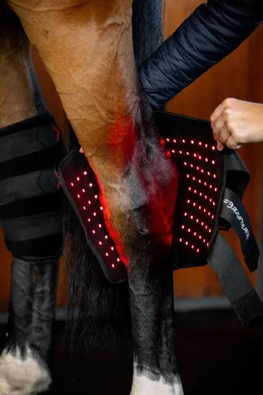 Horseware Ireland Led Red Light Therapy Left Hock Boot| Online For Equine