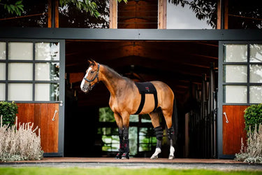 Horseware Ireland Led Red Light Therapy Left Hock Boot| Online For Equine