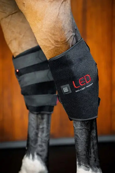 Horseware Ireland Led Red Light Therapy Left Hock Boot| Online For Equine