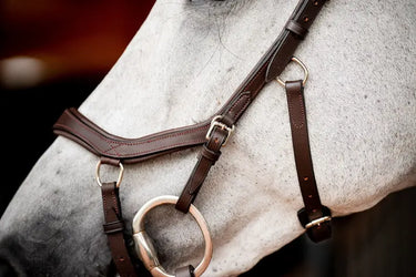 Buy Horseware Ireland Micklem 2 Competition Bridle With Reins| Online for Equine