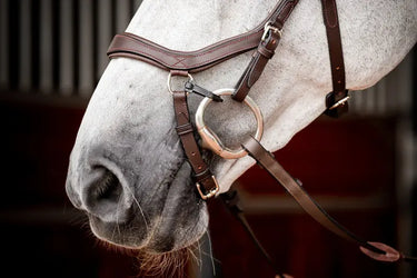 Buy Horseware Ireland Micklem 2 Competition Bridle With Reins| Online for Equine