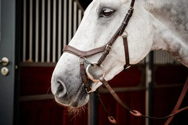 Buy Horseware Ireland Micklem 2 Competition Bridle With Reins| Online for Equine