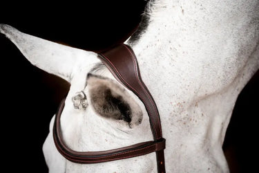 Buy Horseware Ireland Micklem 2 Competition Bridle With Reins| Online for Equine