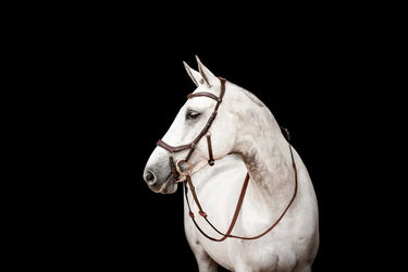 Buy Horseware Ireland Micklem 2 Competition Bridle With Reins| Online for Equine