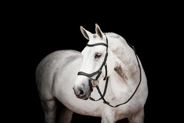 Buy Horseware Ireland Micklem 2 Competition Bridle| Online for Equine