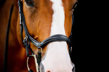 Buy Horseware Ireland Micklem 2 Diamante Competition Bridle| Online for Equine