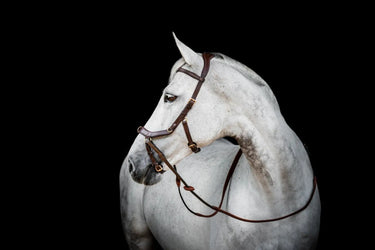 Buy Horseware Ireland Micklem 2 Multi Bridle| Online for Equine