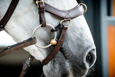 Buy Horseware Ireland Micklem 2 Multi Bridle| Online for Equine